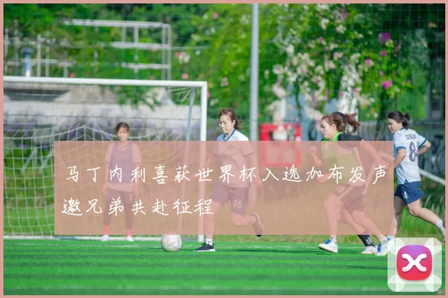 马丁内利喜获世界杯入选加布发声邀兄弟共赴征程
